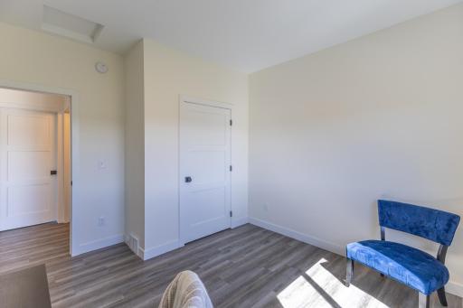 Additional view of the second bedroom and closet.