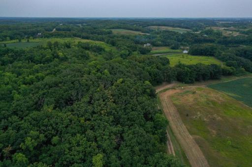 DJI_0096.jpg