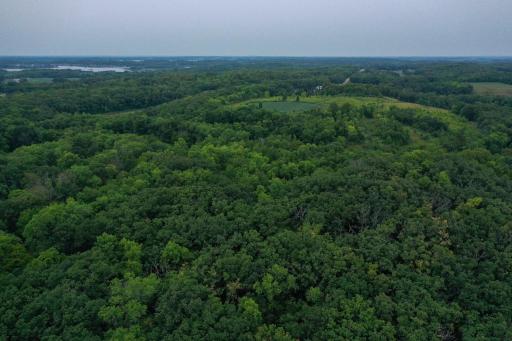 DJI_0097.jpg