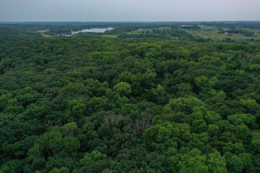 DJI_0098.jpg