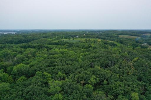 DJI_0106.jpg