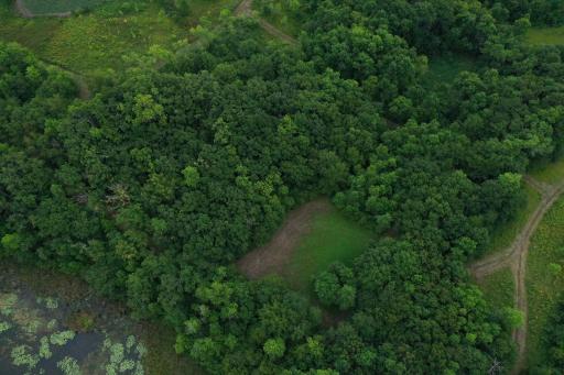 DJI_0116.jpg