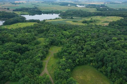 DJI_0113.jpg