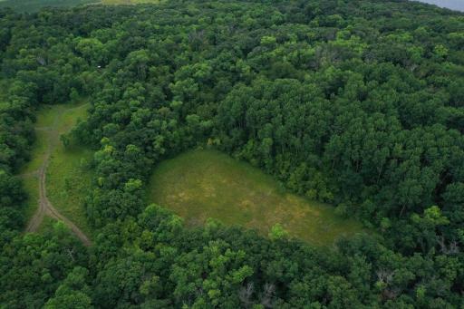 DJI_0115.jpg