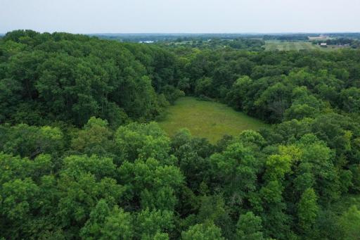 DJI_0121.jpg