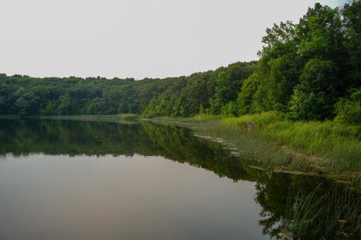 DSC03558.jpg