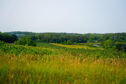 DSC03541.jpg