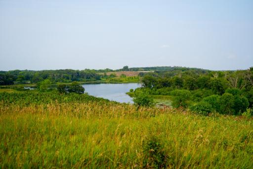 DSC03540.jpg