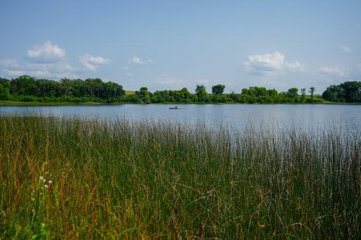 DSC03470.jpg