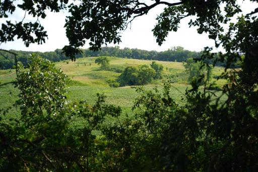 DSC03497.jpg