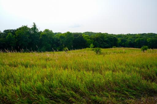 DSC03546.jpg