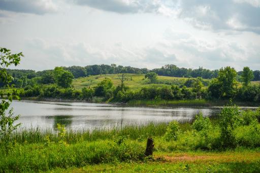 DSC03481.jpg