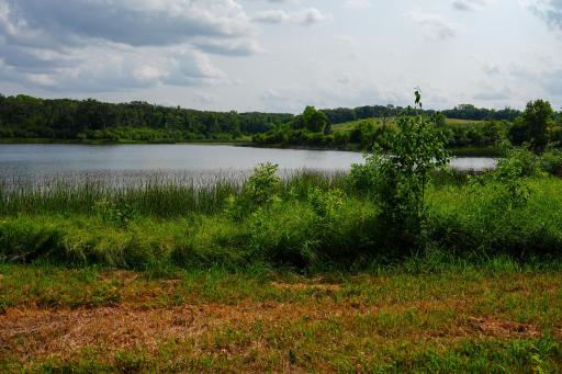 DSC03466.jpg