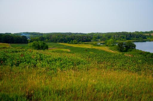 DSC03543.jpg