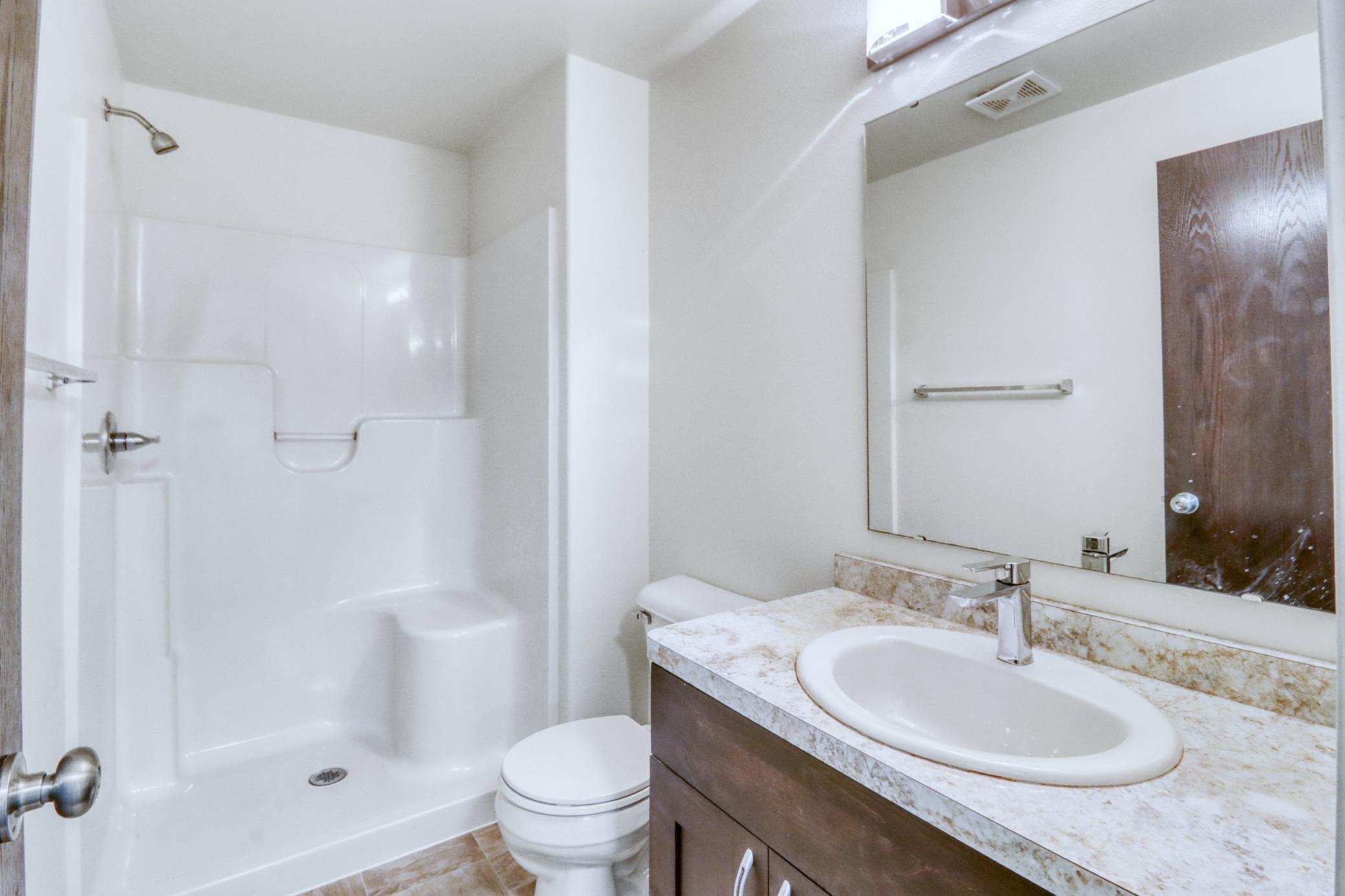Basement Bathroom1_1.JPG