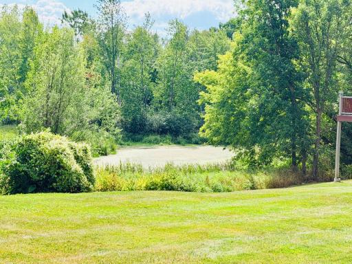 Pond