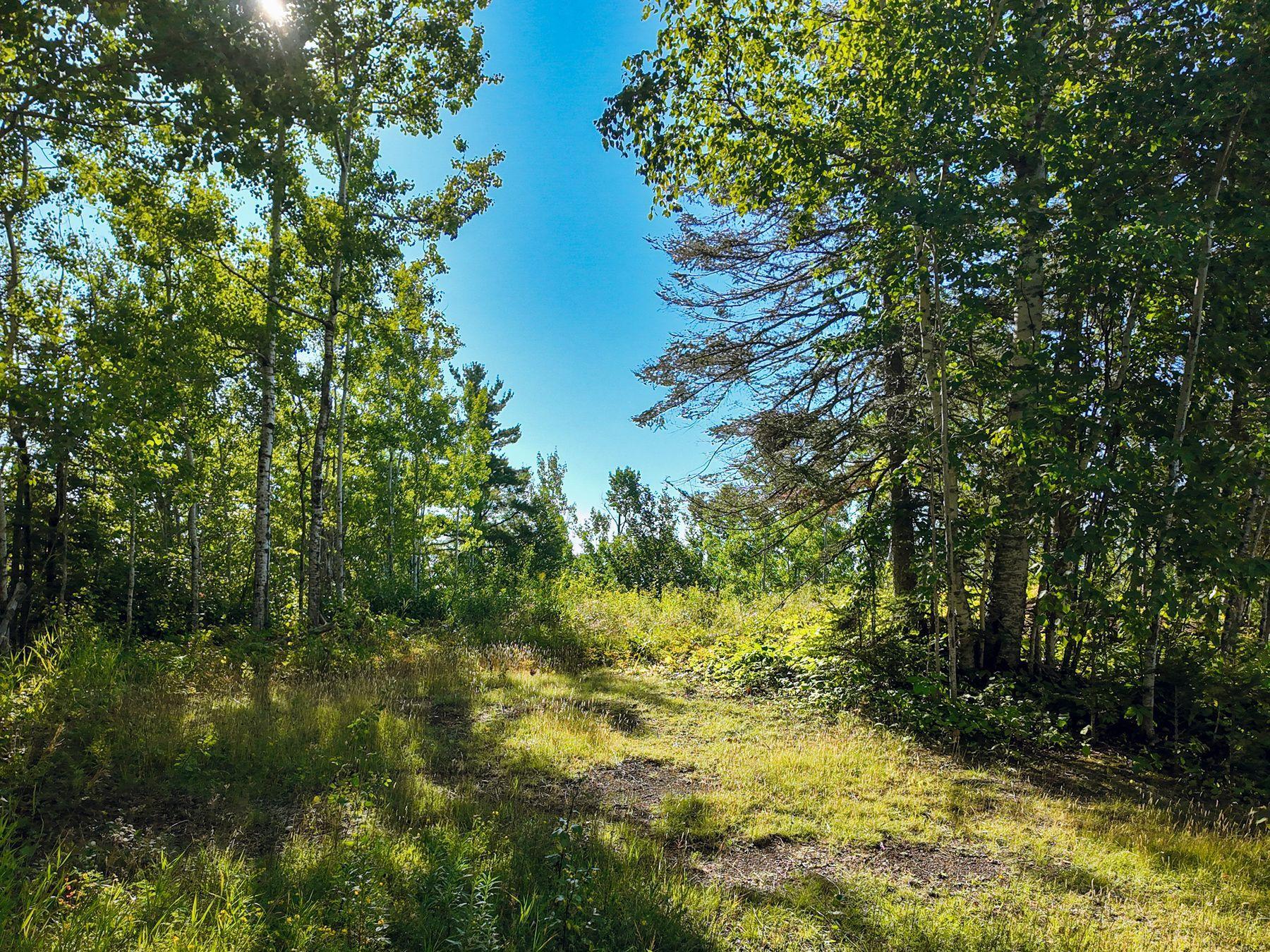 Property photo for XXX Casper's Hill Road, Grand Marais, MN 55604