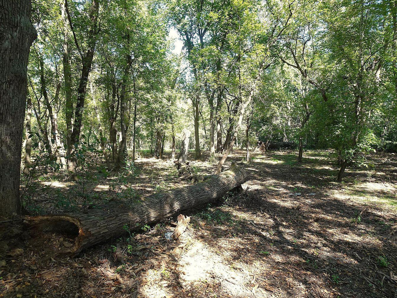 5990_PainterRd-6-2.jpg