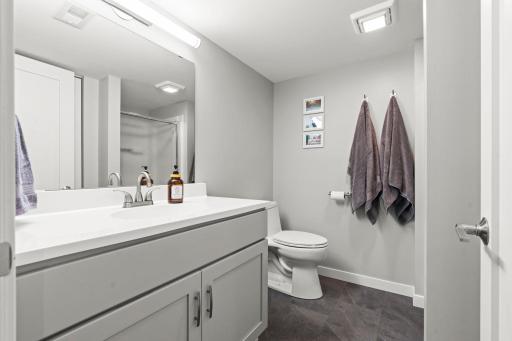 Lower level updated bathroom