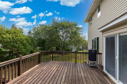 21386 Goldenrod Circle, Rogers, MN 55374