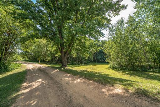 A tree-covered drive leads into the homesite.