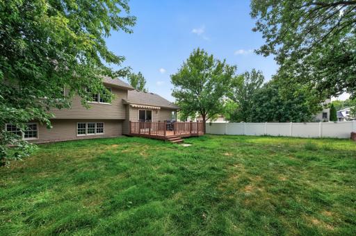 12925 backyard.jpg