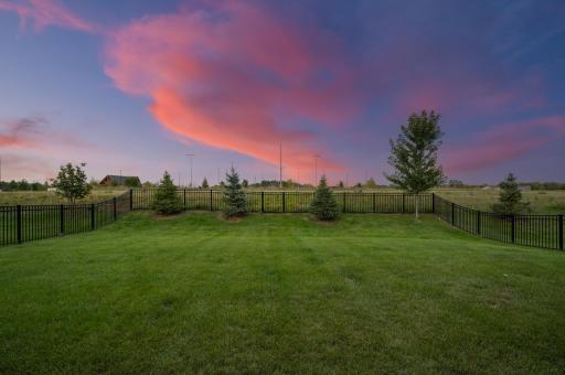 Fully fenced back yard with park views