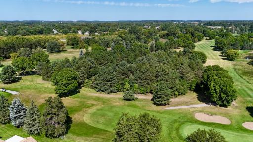 25 Pine Tree Court, Sartell, MN 56377