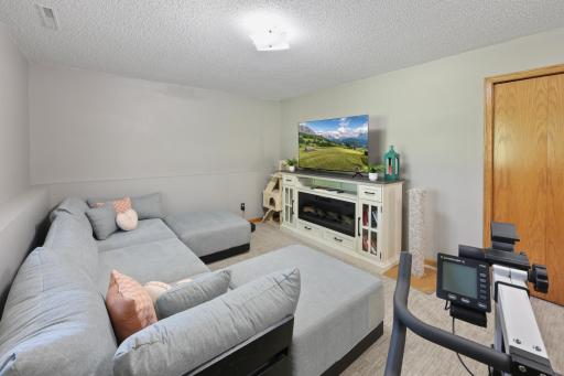 25 Pine Tree Court, Sartell, MN 56377
