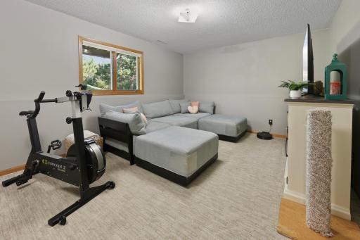 25 Pine Tree Court, Sartell, MN 56377