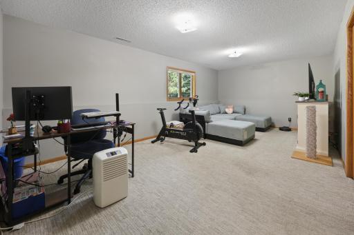 25 Pine Tree Court, Sartell, MN 56377
