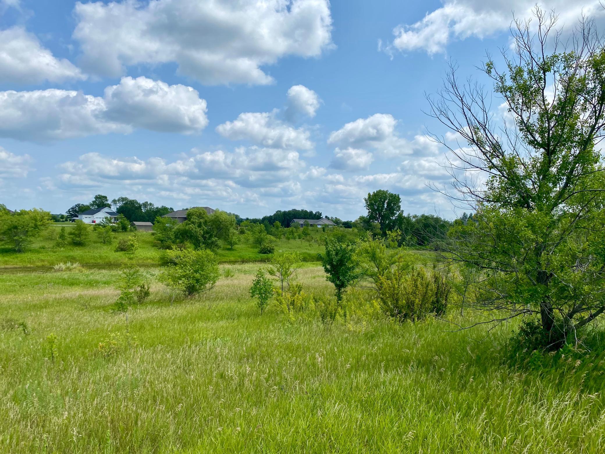 Private, beautiful lot with rolling hills, grass and trees.