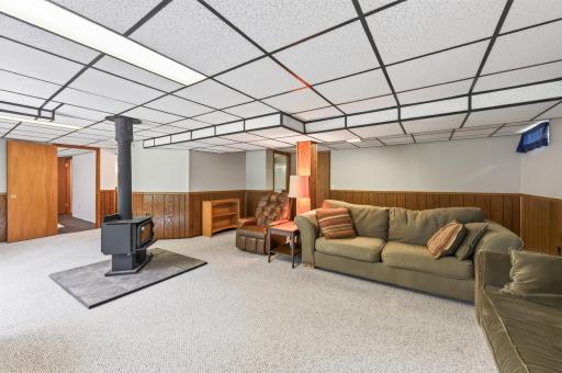Basement Living Room