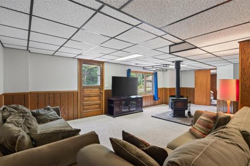 Basement Living Room