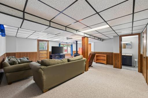 Basement Living Room