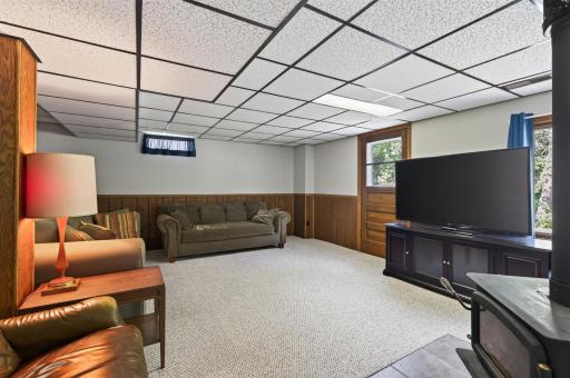 Basement Living Room