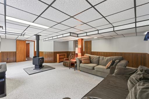 Basement Living Room