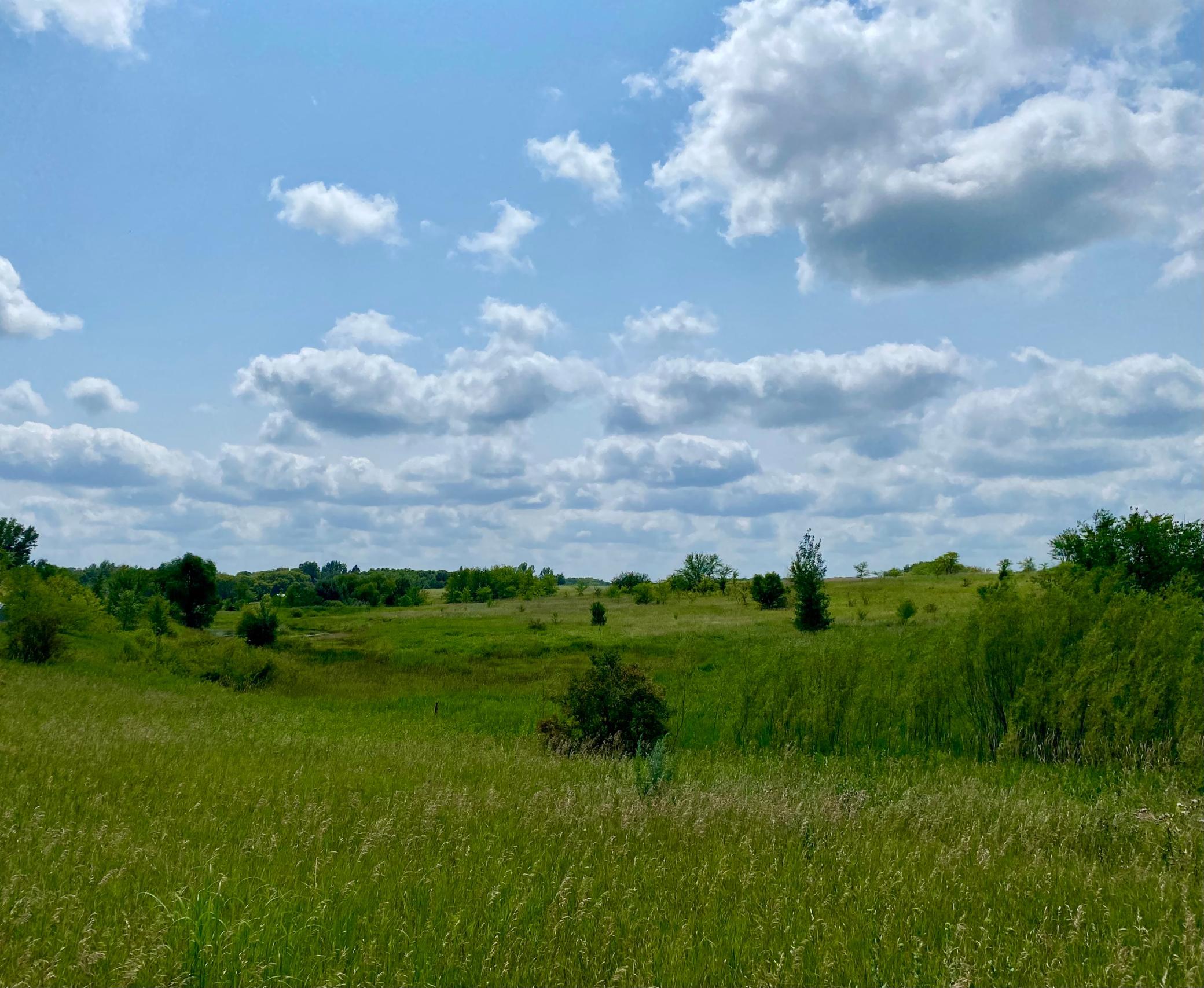 Beautiful rolling hills, pond and wildlife in your backyard.