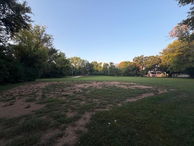 dry lawn.jpg