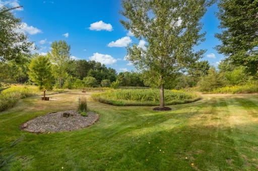 Nice privacy in your backyard