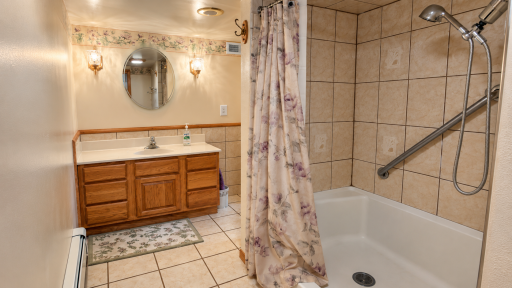 lower level bathroom
