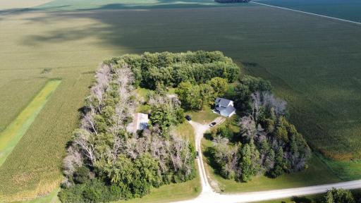 dji_fly_20260827_153416_615_1787891367157_photo_optimized.JPG