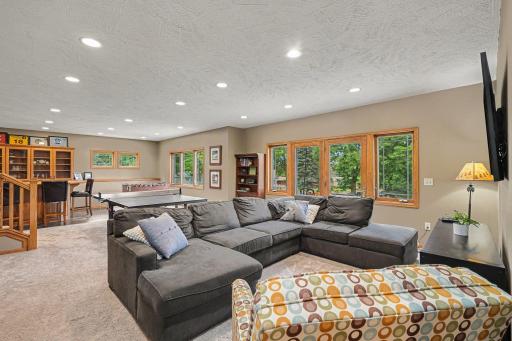 Walkout lower level family area with natural light and direct access to the backyard.
