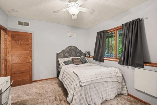 Second angle of lower level bedroom showing room size and closet access.