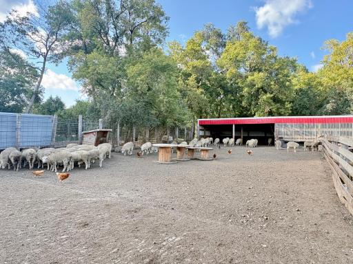 2882 261st Avenue, Madison, MN 56256