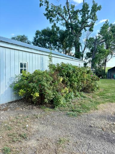 2882 261st Avenue, Madison, MN 56256