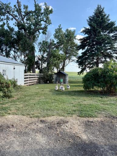 2882 261st Avenue, Madison, MN 56256
