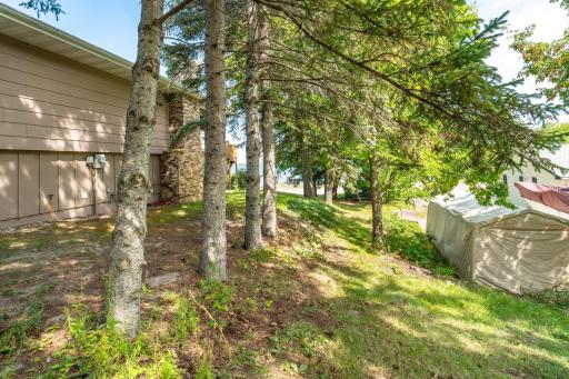 36045 Timber Hills Trl BL-113.jpg