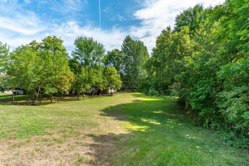 36045 Timber Hills Trl BL-107.jpg