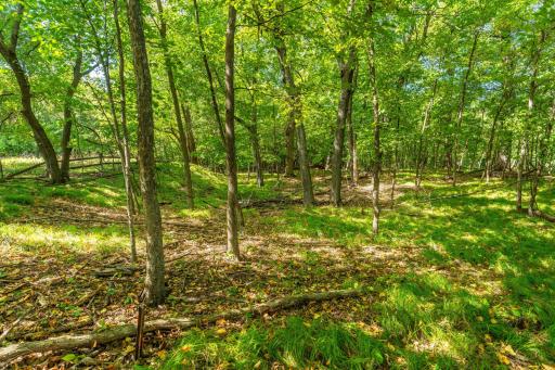 36045 Timber Hills Trl BL-129.jpg